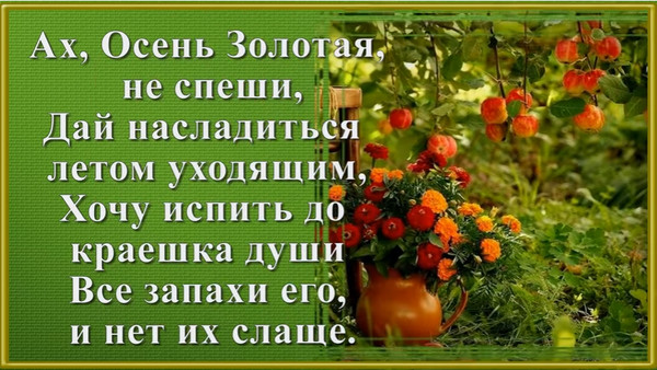 Статус про август красивый. Стихи об уходящем лете. Стихи про уходящее лето короткие и красивые. Стихи про август красивые. Уходит лето стихи.